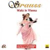 Download track Der Zigeunerbaron: Overture