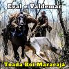 Download track Toada Escorrega