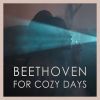 Download track 6 Piano Variations In F Major, Op. 34: Variation II. (Allegro Ma Non Troppo)