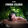 Download track Dreamy Moments