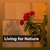 Download track Meditation With Nature, Pt. 30