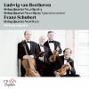 Download track String Quartet No. 8 In B-Flat Major, D. 112 II. Andante Sostenuto