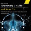 Download track Variations On A Rococo Theme, Op. 33, TH 57 (Arr. D. Stromberg For Cello & Wind Quintet): Var. 1