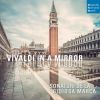 Download track Concerto In D Major, RV 564 Concerto In D Major, RV 564 II. Largo