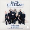 Download track Concerto For Violin, Oboe, Strings And Continuo In C Minor, BWV 1060a II. Adagio