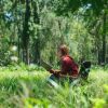 Download track Tranquil Sounds For Rest