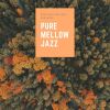 Download track Mellow Paris Jazz