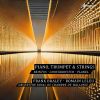 Download track Concerto N°1 Pour Piano, Trompette Et Orchestre À Cordes In C Minor, Op. 35: IV. Allegro Con Brio