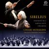 Download track Symphony No. 3 In C Major, Op. 52: I. Allegro Moderato