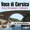 Download track Ecco Bella