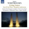 Download track Give Us The Wings Of Faith