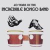 Download track In-A-Gadda-Da-Vida