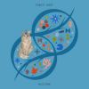 Download track Leaf In A Stream