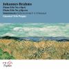 Download track Piano Trio No. 1 In B Major, Op. 8: II. Scherzo. Allegro Molto - Meno Allegro
