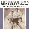 Download track When I Grow Up To Be A Man (Stereo Mix - Previously Unreleased)