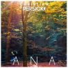Download track Ana