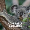 Download track Campfire In The Outback