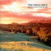 Download track When You Sleep