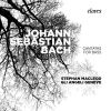 Download track 16. Stephan MacLeod - Amore Traditore, BWV 203 II. Recitativo. Voglio Provar