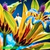 Download track Rhythm Of The Tropics
