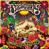 Download track Bertha (Live)