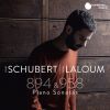 Download track 05. Sonata In C Minor, D. 958 I. Allegro