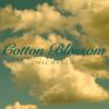Download track Cotton Blossom