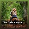 Download track Soundscapes Of Nature Melodies, Pt. 20