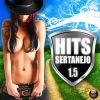 Download track Top Do Verão