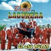 Download track Voy A Llorar Por Ti