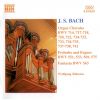 Download track Prelude In A Minor
