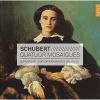 Download track 5. String Quartet In A Minor ''Rosamunde'' Op. 29 No. 13 D. 804 - 1. Allegro Ma Non Troppo