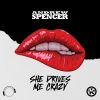 Download track She Drives Me Crazy (Radio Edit)