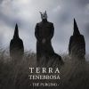 Download track Black Pearl In A Crystalline Shell