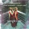Download track 4. Schubert: Piano Sonata No. 21 In B Flat Major D. 960 - IV. Allegro Ma Non Troppo