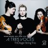 Download track String Trio: I. Allegro Non Troppo