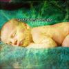 Download track Tranquil Home