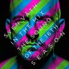 Download track Silent Shout (Shaken-Up Version)
