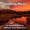 Download track Relaxing Music To Sleep By