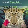Download track Space Rain (Original Mix)