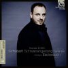 Download track Schwanengesang D. 957: XI. Die Stadt