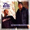 Download track Public Execution