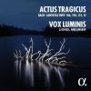 Download track 9. Nach Dir Herr Verlanget Mich BWV 150 - I. Sinfonia