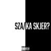Download track SZA