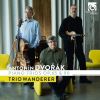Download track 9. Piano Trio In F Minor Op. 65 - III. Poco Adagio