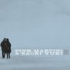 Download track Watashi Mo Anata To Naite II? (Consolation) 