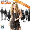 Download track Waka Waka (This Time For Africa)