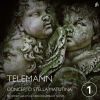 Download track Concerto For Recorder & Bassoon In F Major, TWV 52: F1: II. Allegro (Live)