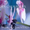 Download track Piano For Massage