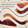 Download track 07. I. Allegro Vivace